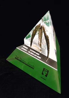 Energy Efficiency Award